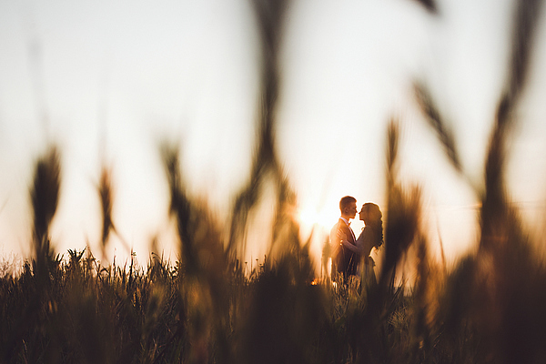 Kissing couple through defocused grass background in sun light. Warm tones